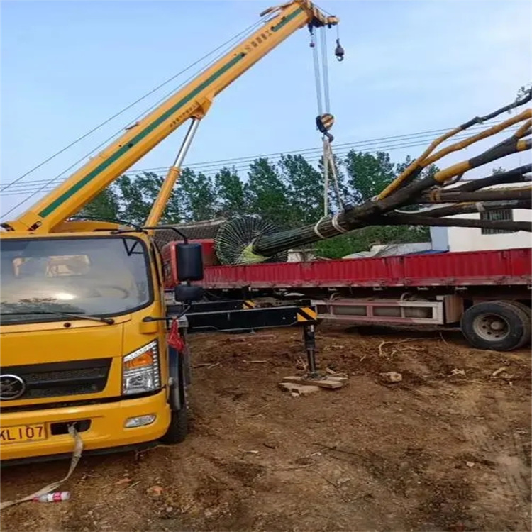 黄冈100吨吊车租赁费用怎么算？3大关键因素+省钱技巧全解析